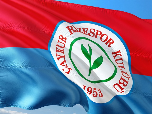 收购背后的 收购背后的