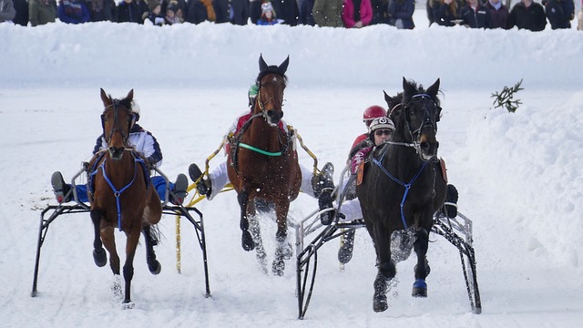 埃因霍温的 埃因霍温的