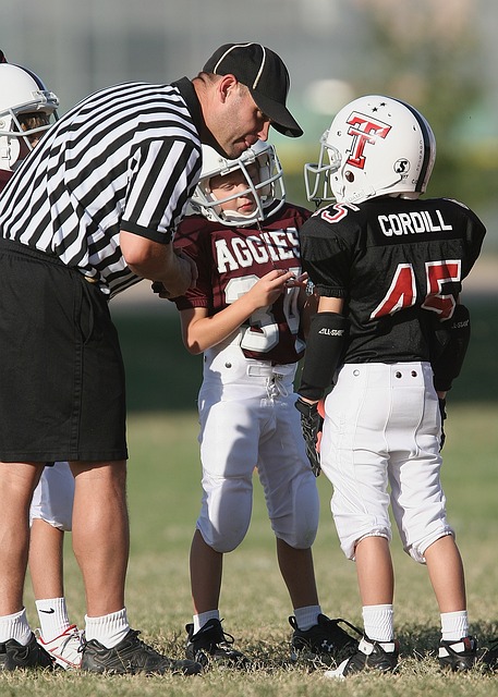 优化能源使 优化能源使