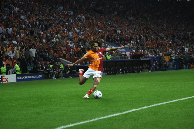 转会市场的 转会市场的